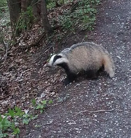 Appartement Lens Apartment *